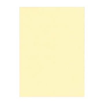 （まとめ） 文運堂 ニューカラーR 四ツ切 横392×縦542mm 4NCR-105 うぐいす 100枚入 【×2セット】