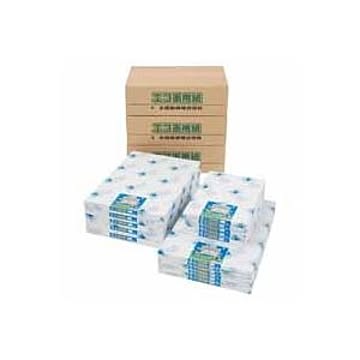 (業務用2セット)北越製紙 エコ画用紙/工作用紙 【四つ切り 特厚口】 100枚 170-4