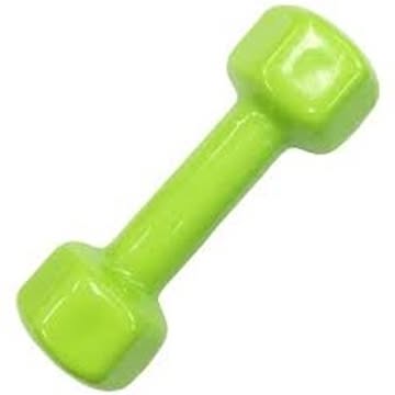 カラー 鉄アレー/ダンベル 2kg×1本 ビニールコーティング 防滑 防傷 転がりにくい仕様 〔スポーツ用品 運動用品〕