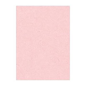 （まとめ） 文運堂 ニューカラーR 全判 横788×縦1091mm 10-102 うすもも 10枚入 【×2セット】