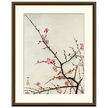 額絵 紅梅 速水御舟 42x34cm 三幸