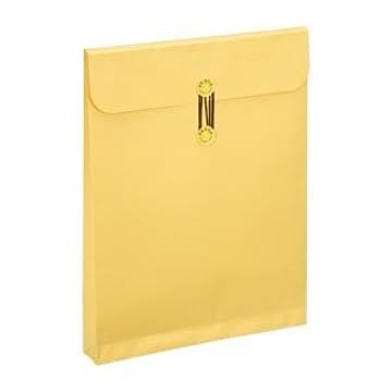 （まとめ） 高春堂 カーデックス保存袋 133 1枚入 【×10セット】