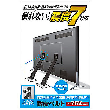 エレコム TV用耐震ベルト/?75V用/ネジどめタイプ(VESA穴)/2本入 TS-006N 管理No. 4953103346406