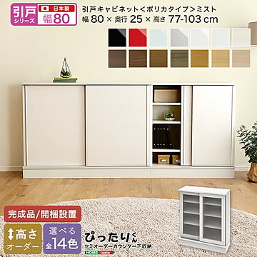【引戸シリーズ】セミオーダー収納ぴったりくん キャビネット(ポリカタイプ ミスト) 幅80cm×奥行25cm 【OG】 完成品 開梱設置 日本製 ぴったり カウンター 収納 収納 リビング キッチン