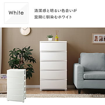 コロネチェスト CLN-545