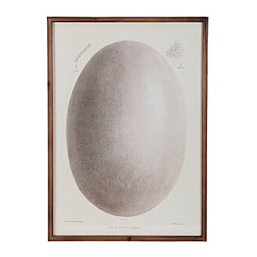 額縁 ART FRAME EGG Y-0935EG 幅600x奥行28x高さ840mm ダルトン
