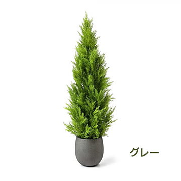 GREENPARK ゴールドクレストM エッグポット H155cm PRGR-1247 プリマ