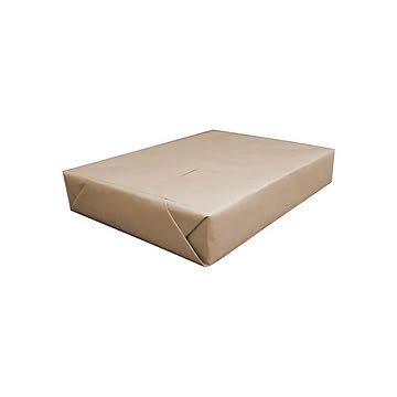 （まとめ）日本製紙 しらおい A4T目 157g1冊(250枚) ×2セット