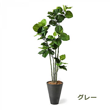 GREENPARK ウンベラータ GWプランター H163cm PRGR-1265 プリマ