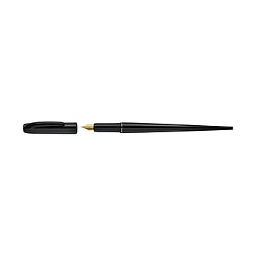 プラチナ万年筆 デスクペン DPQ-700A#1 黒 10本