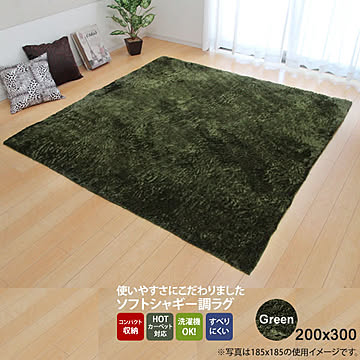 イケヒコ・コーポレーション シャギー調ラグ ラルジュ 約200×300cm グリーン