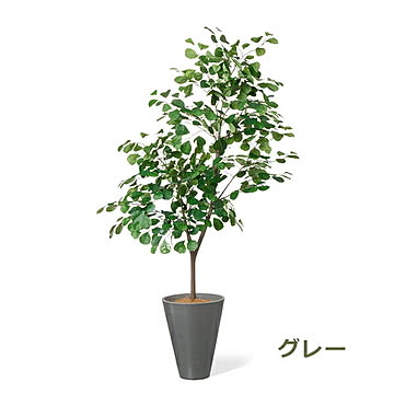 GREENPARK トライアンギュラリス GWプランター H160cm PRGR-1534 プリマ