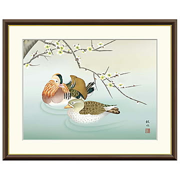 額絵 梅に鴛鴦 浮田秋水 42x34cm 三幸