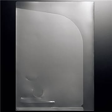 （まとめ） TANOSEE クリアホルダーダブルポケット A4 クリア 1パック（10枚） 【×10セット】