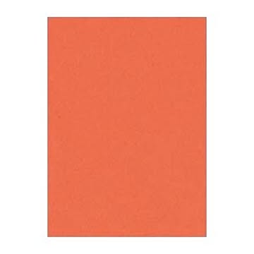 （まとめ） 文運堂 ニューカラーR 全判 横788×縦1091mm 10-213 だいだい 10枚入 【×2セット】