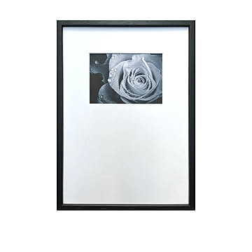 Photography Rose アートポスター（フレーム付き） m13090