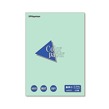 （まとめ）長門屋商店 Color Paper A4最厚口 浅黄 ナ-3511 1冊(25枚) 【×20セット】