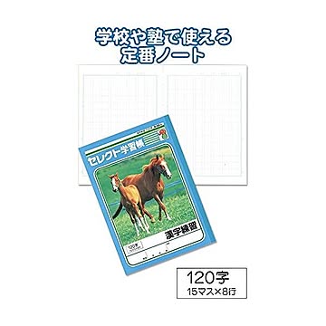 学習帳K-50-3漢字練習 120字 10個セット 31-366