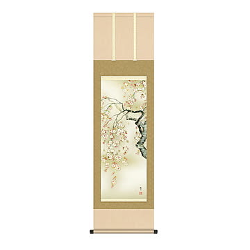 掛け軸 桜花爛漫 森山観月 44.5x164cm 三幸