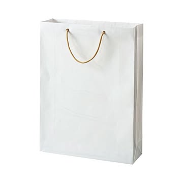 (まとめ) TANOSEE ビニールカバー付手提げ袋 L ヨコ380×タテ510×マチ幅120mm 白無地 1パック（10枚） 【×5セット】