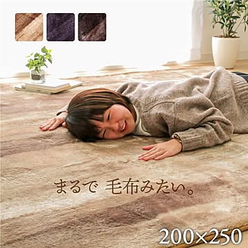 ふんわりタッチ ラグマット 約200×250cm ブラウン 無地調 洗える ホットカーペット対応 床暖房対応 リビング