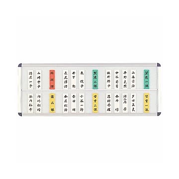 ライオン事務器 社員一覧表 50枚2段用W600×H225×D15mm No.50N 1枚