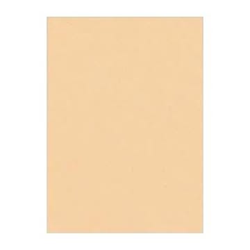 （まとめ） 文運堂 ニューカラーR 四ツ切 横392×縦542mm 4NCR-111 しらちゃ 100枚入 【×2セット】