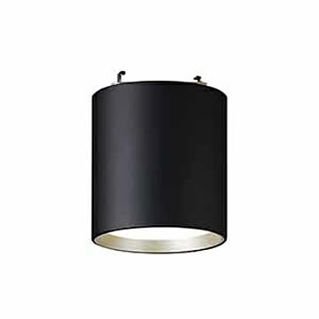 ARTWORKSTUDIO Grid PLUS-ceiling down light 1灯 ブラック×シャンパンゴールド