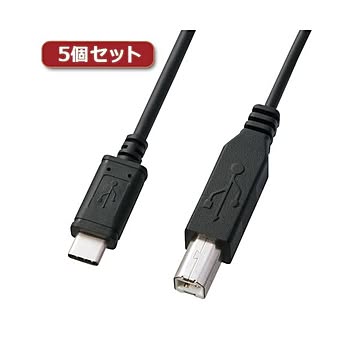 5個セット サンワサプライ USB2.0TypeC-Bケーブル KU-CB20X5