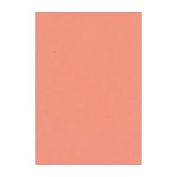 （まとめ） 文運堂 ニューカラーR 八ツ切 横271×縦392mm 8NCR-127 サーモン 100枚入 【×2セット】