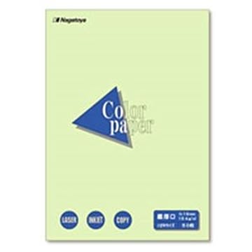 (業務用20セット)Nagatoya カラーペーパー/コピー用紙 はがき/最厚口 50枚 両面印刷対応 若草