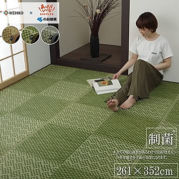 小林製薬 KOBA-GUARD 敷物 江戸間6畳 約261×352cm グリーン