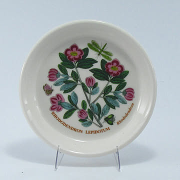 ポートメリオン　ボタニックガーデン　スウィートディッシュ10cm Rhododendron（シャクナゲ）BGHQ48940rhododendro　洋食器　イギリス　ボタニック
