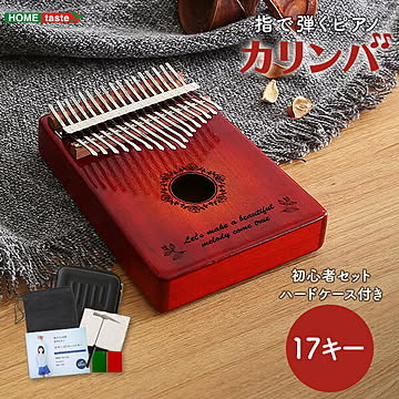 指で弾くピアノ カリンバ初心者セット 絵柄付きタイプ 親指ピアノ 指ピアノ 楽器 ハードケースつき 家具通販のグランデ