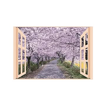 昭プラ 四季彩 桜並木 お風呂のポスター 2セット 8095651