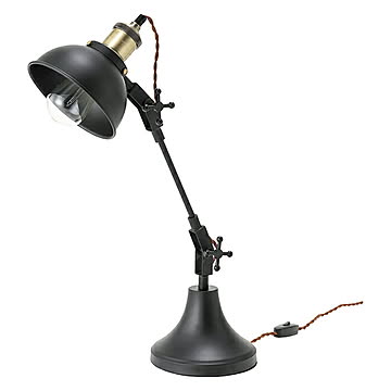 照明 組立式 電球付 ライト LHT-737 幅20〜50x奥行16x高さ26〜59cm 東谷