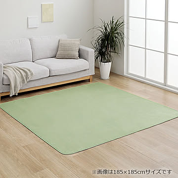 イケヒコ・コーポレーション ピオニー2 ラグ 130×185cm スカイグリーン