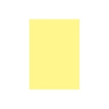 (業務用10セット)大王製紙 再生色画用紙/工作用紙 【四つ切り 10枚】 ひよこ