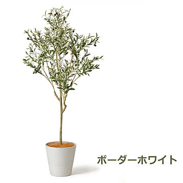 GREENPARK オリーブ GWプランター H160cm PRGR-1260 プリマ