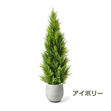 GREENPARK ゴールドクレストM エッグポット H155cm PRGR-1247 プリマ