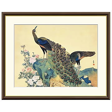 額絵 牡丹孔雀図 円山応挙 52x42cm 三幸
