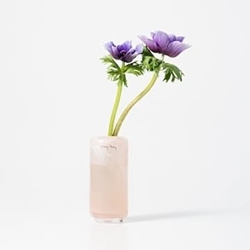 Fumiko high XXS　Henry Dean