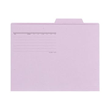 （まとめ） プラス 個別フォルダー FL-082IF A4E VL 50枚×5セット