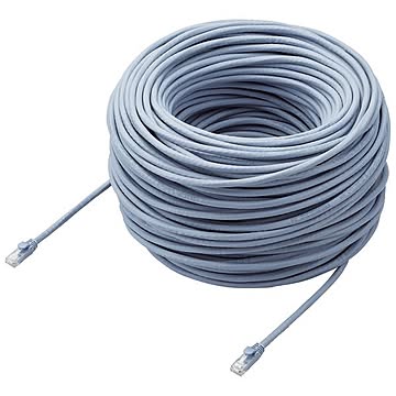 エレコム LANケーブル／CAT6A対応／EURoHS指令準拠／ツメ折れ防止カバー／簡易パッケージ仕様／100m／単線／ブルー LD-GPAT／BU100RS
