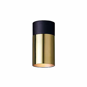 ARTWORKSTUDIO アートワークスタジオ Tube-down light(S) チューブダウンライト(S)(電球なし) AW-0524Z 天井照明 シーリングライト ダウンライト シンプル