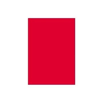 (業務用200セット) 大王製紙 再生色画用紙/工作用紙 【八つ切り 10枚】 きんぎょ(こいあか)