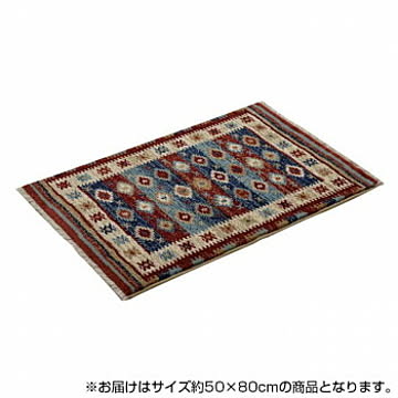 イケヒコ・コーポレーション プルメリア 玄関マット 50×80cm レッド 2051339