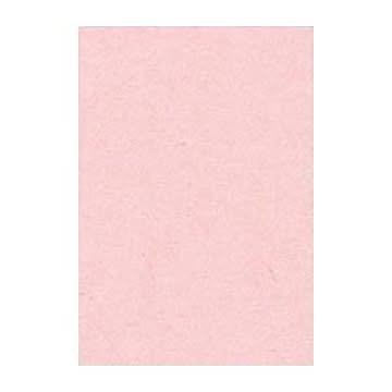 （まとめ） 文運堂 ニューカラーR 八ツ切 横271×縦392mm 8NCR-102 うすもも 100枚入 【×2セット】