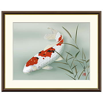 額絵 遊鯉 吉井蘭月 61x49.5cm 三幸