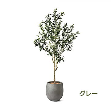 GREENPARK オリーブ エッグポット H155cm PRGR-1261 プリマ